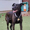 Photo of Lady Nunu