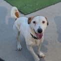 Photo of Jet