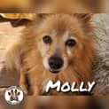 Photo of Molly