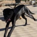 Photo of Oakley