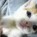 Photo of Lulu