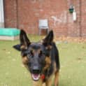 Photo of Sultana