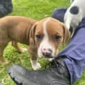 Photo of Bonnie