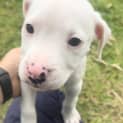Photo of Molly