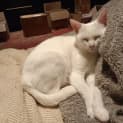 Photo of Yeti