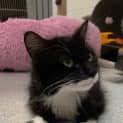 Photo of Jolene