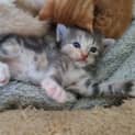 Photo of Keely