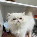 Photo of Morty