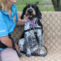 Photo of Shirley