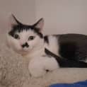 Photo of Shelly