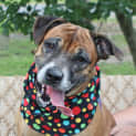 Photo of Ruby
