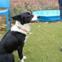 Photo of Lainey