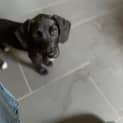 Photo of Winnie