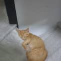 Photo of Gilbert