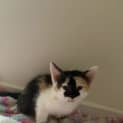 Photo of Ginny