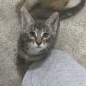 Photo of Albus
