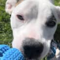 Photo of Missie 