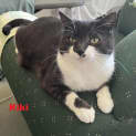Photo of Kiki