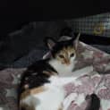 Photo of Eliza
