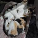 Photo of Eliza