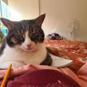 Photo of Clara