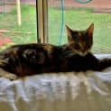 Photo of Elsa