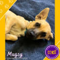 Photo of Mugsy