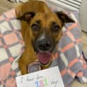 Photo of Lucy