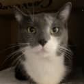 Photo of Fisher