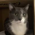 Photo of Fisher