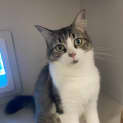 Photo of Alice
