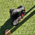 Photo of Vader