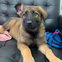 Photo of Babba