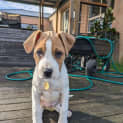 Photo of Babybel