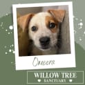 Photo of Omeera