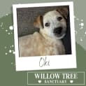 Photo of Oki