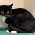 Photo of Jemima