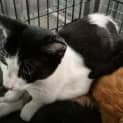 Photo of Tabitha