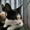 Photo of Tabitha