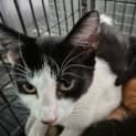 Photo of Tabitha