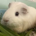 Photo of Cloudy