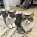 Photo of Duddles & Punkin