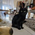 Photo of Maxie