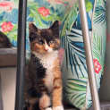 Photo of Boo