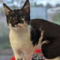Photo of Ginnie