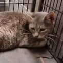 Photo of Ms. Boots