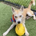 Photo of Maggie