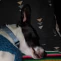 Photo of Macoy