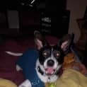 Photo of Macoy
