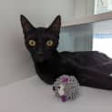 Photo of Twyla